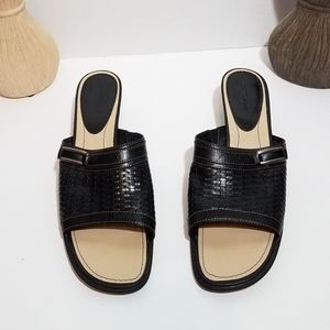 Trotter's slides
